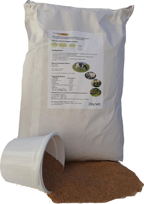 3-보정Edited-Packed+Bucket-